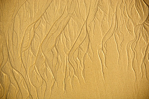 Sand Patterns Background, a Background Photo by THP Creative