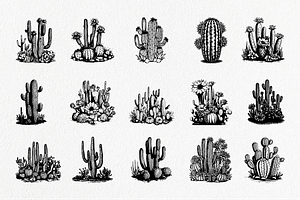 Cactus Hand-Drawn Vintage Set