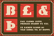 Slabdisp, a Slab Serif Font by graphicook (Thumbnail 5 of 10)
