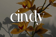 Brigton Newport Serif Font, a Serif Font by UICreative (Thumbnail 6 of 13)