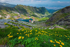 Lake Balea and yellow dandelions, a Nature Photo by Alpine Dreams