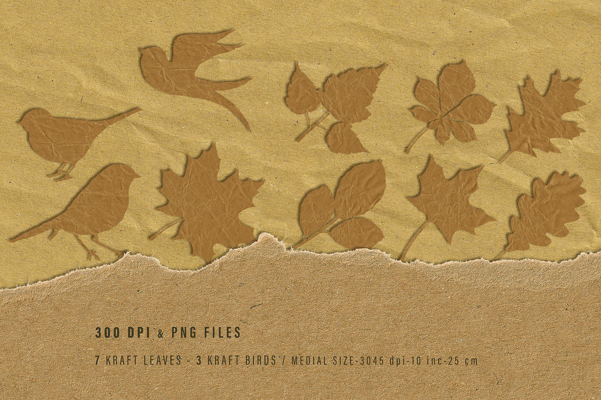 Kraft Paper Set, a Background Graphic by Suna Kosem (Photo 10 of 19)