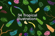 Colorful Tropical Summer Design Set, an Animal Illustration by Def Studio (Thumbnail 3 of 7)