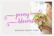 Yulita Script, a Script Font by Stripes Studio (Thumbnail 3 of 7)