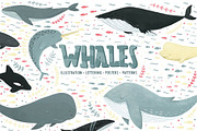 WHALES & another ocean creatures, an Animal Illustration by Alina Mubarak (Thumbnail 1 of 12)