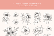 Peonies Vector Illustrations, a Decorative Illustration by Emma Webb Studio (Thumbnail 2 of 9)