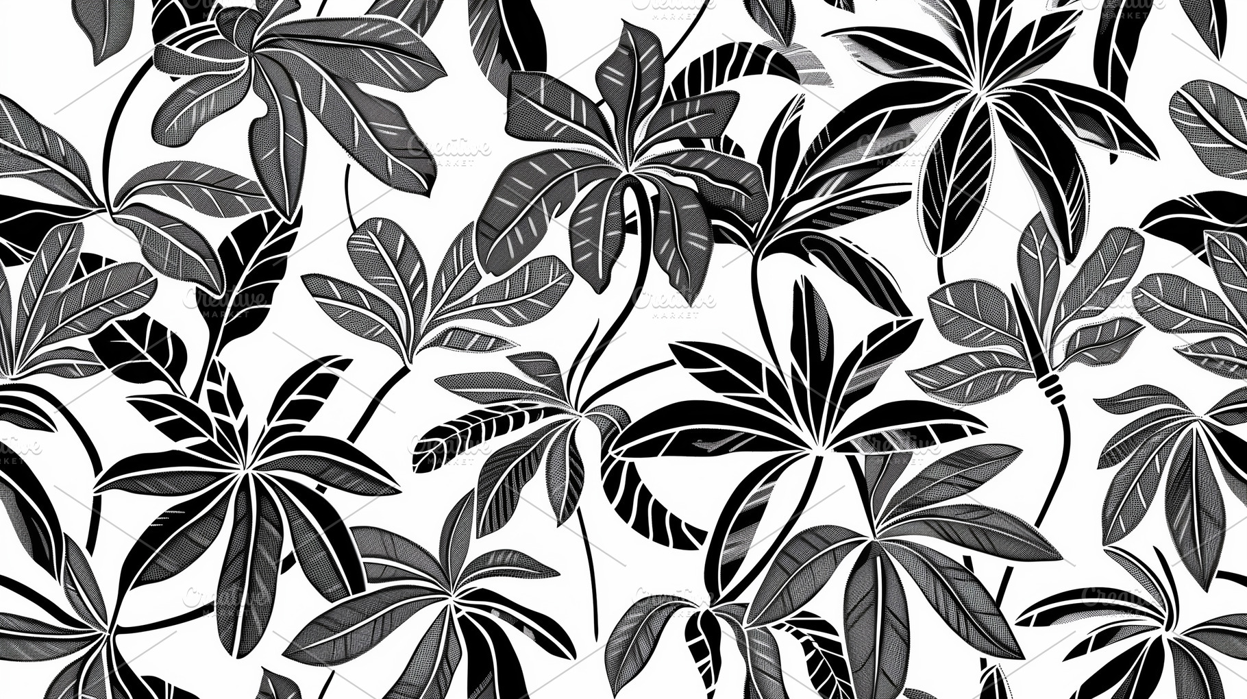 Pattern of black and white tropical, a Wallpaper Photo by Imaginarium