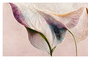 Lily Collection · Calla Lily Flowers, a Decorative Illustration by milatovar (Thumbnail 13 of 16)