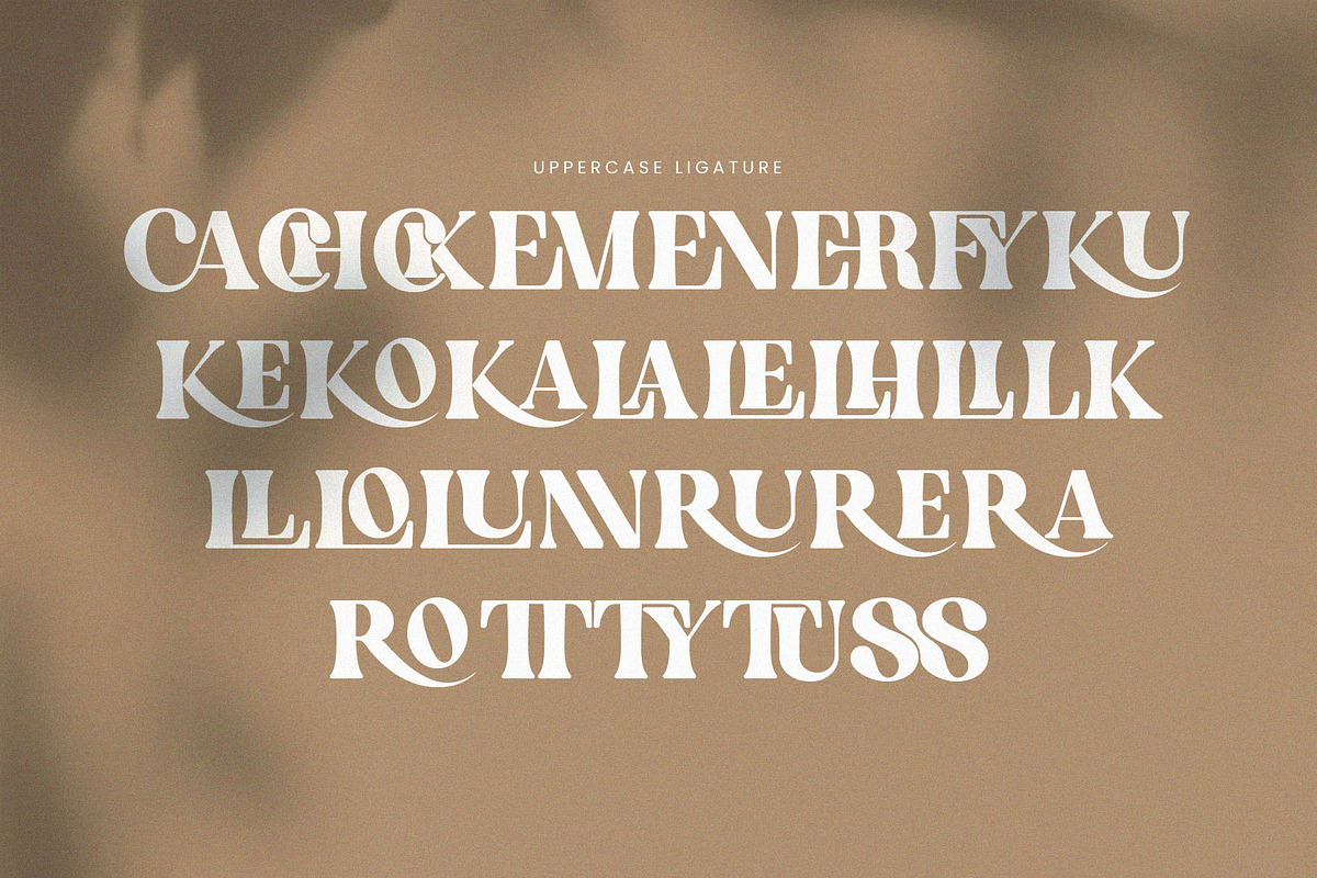 English Island Ligature Serif Font, a Serif Font by Graphicxell (Photo 11 of 11)