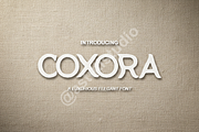 Coxora - Luxury Modern Serif Font Du, a Font by Astuti Studio (Thumbnail 1 of 16)