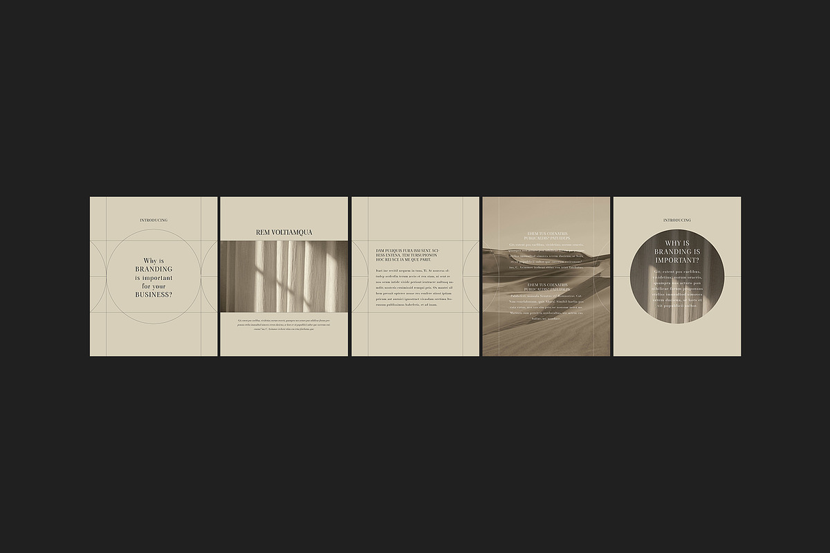 SLVIA I Instagram Carousels I Canva, a Social Media Template by Studio Brand (Photo 23 of 23)