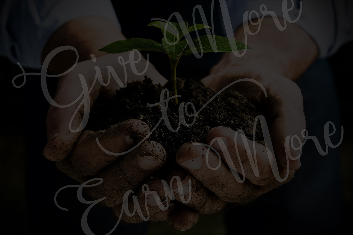 Shafeer, a Script Font by Abo Daniel Studio (Photo 8 of 15)