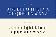 Casmera - Elegant Ligature Serif, a Serif Font by Font Liner (Thumbnail 13 of 14)