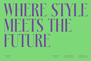 Kushers Modern Serif Display Font, a Serif Font by timelesstype.co (Thumbnail 10 of 20)