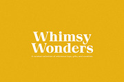 Banana Ice - Modern Serif, a Serif Font by Schrifted Type (Thumbnail 4 of 8)