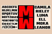 Molika - Font Duo, a Script Font by zelow type (Thumbnail 13 of 16)