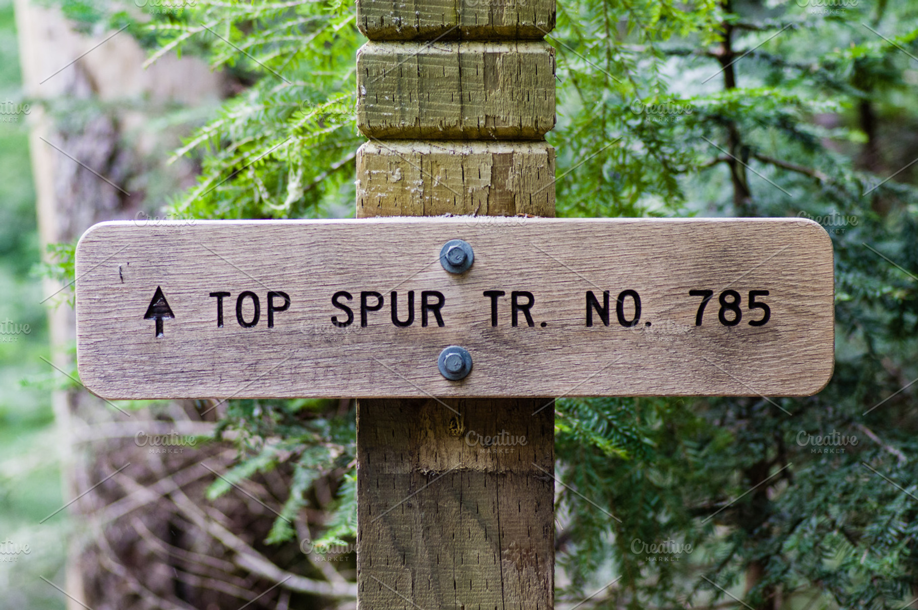 Sign post for trail 785 Top Spur Trail, a Nature Photo by Zigzag Mountain Art