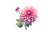Dahlia Flower and Butterfly Clipart, an Object Graphic by EzDigitals (Thumbnail 8 of 8)