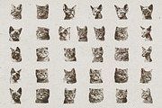 Cat Breeds Portrait Illustrations, an Animal Illustration by Nocturnal Wolf (Thumbnail 3 of 10)