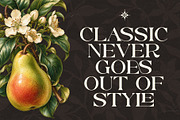 Rospel - A Soft Serif Classic Font, a Serif Font by Muflieart (Thumbnail 2 of 12)