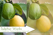 Instant Canvases, a Texture Graphic by Cindy Garber Iverson (Thumbnail 4 of 4)