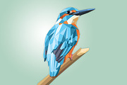 3 Birds Polygon Style, an Animal Illustration by nordicworker (Thumbnail 5 of 5)