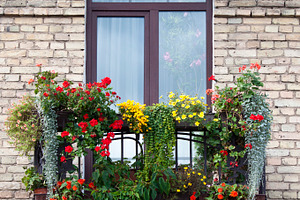 Flowered balcony, an Architecture Photo by BOOCYS