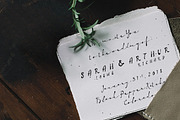 Paris 1920 Script & Sans, a Script Font by BlueRobinDesignShop (Thumbnail 3 of 10)