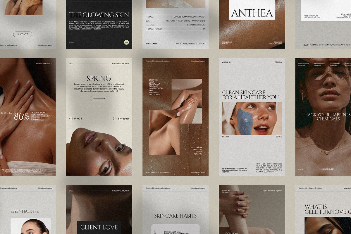 Minimal Skincare Story Templates preview 6