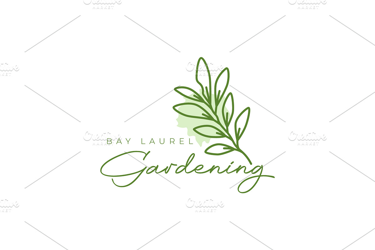 bay laurel plant leaves simple logo, a Branding & Logo Template by devastd