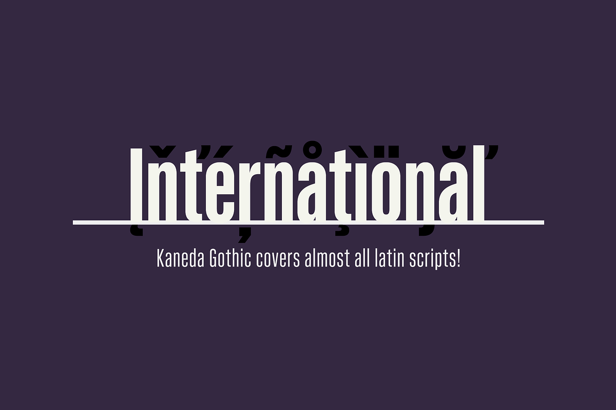 Kaneda Gothic preview 5