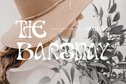 Dream Theatrion, a Serif Font by Letterara (Thumbnail 10 of 14)