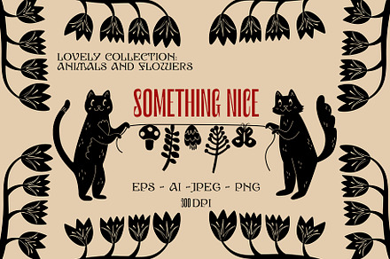 Something nice. A lovely collection