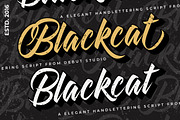 THE LAYERED FONT BUNDLE, a Script Font by Debut Studio (Thumbnail 13 of 14)