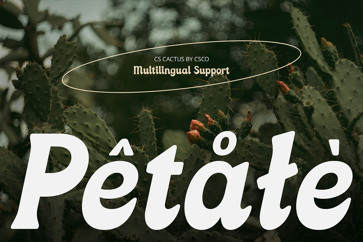 CS Cactus – Classic Font, a Serif Font by Craft Supply Co. (Photo 3 of 8)