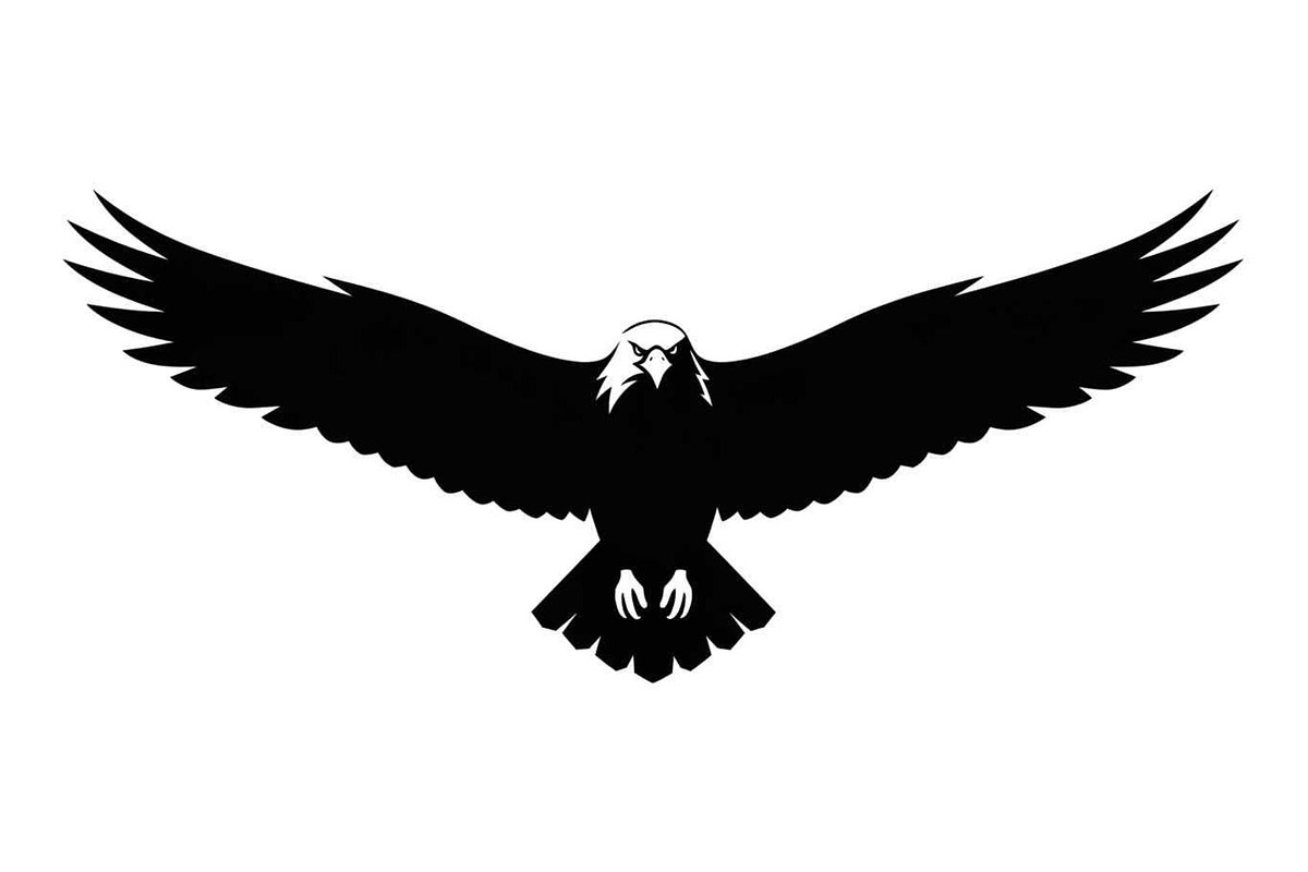 50 Flying Eagle Silhouette Vector Bu, an Illustration by Designs_River (Photo 33 of 51)
