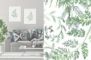 Watercolor Fern and Roses, an Object Illustration by Olga Koelsch (Thumbnail 6 of 15)