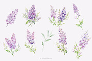 Delicate Lilac Watercolor Clipart, a Decorative Illustration by Primrose Blume (Thumbnail 3 of 4)