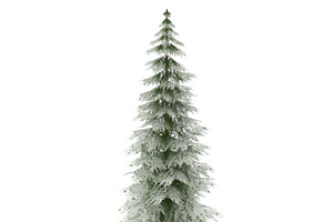 Canadian Spruce Tree Snow V1