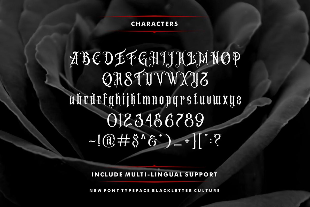 Amstrong Typeface preview 4