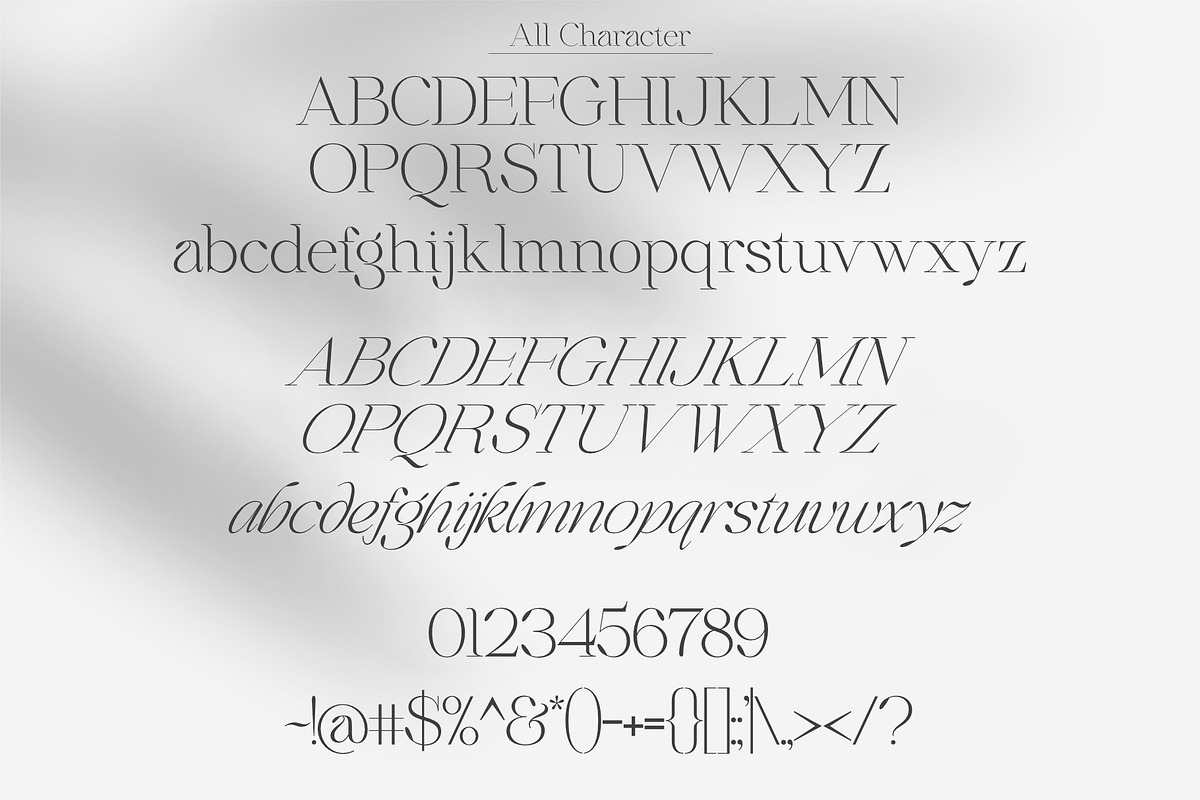 Qidango, a Serif Font by Sealoung (Photo 16 of 17)