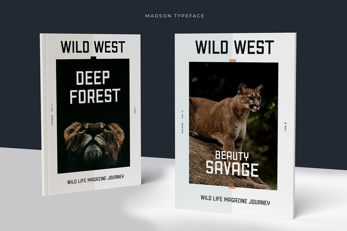 Madson - Masculine modern typeface, a Sans Serif Font by CCS Type (Photo 5 of 16)