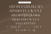 Fradey - Classy Serif Font, a Serif Font by Aqeel_Art (Thumbnail 10 of 12)