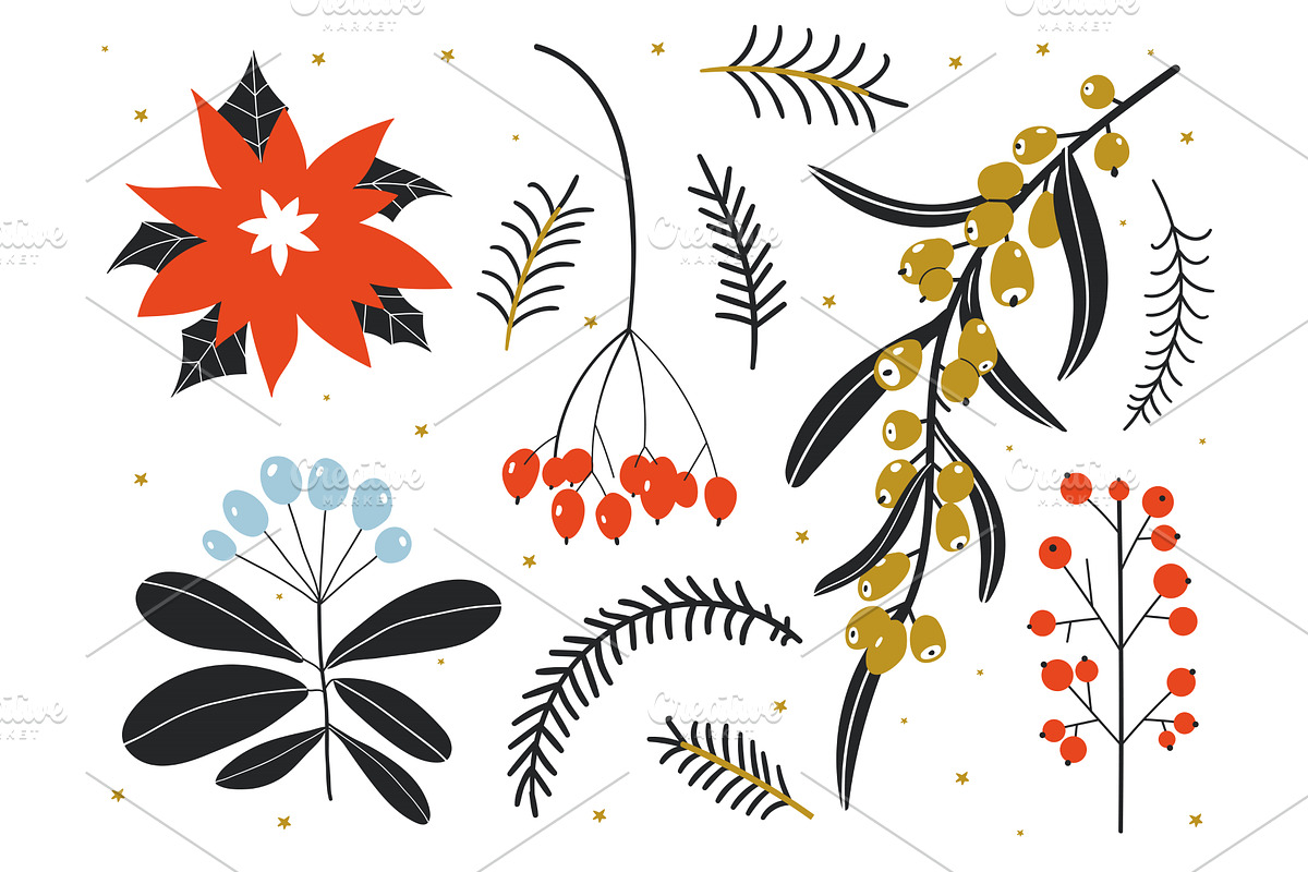 Winter floral set. Collection of, a Decorative Illustration by Riots Brush