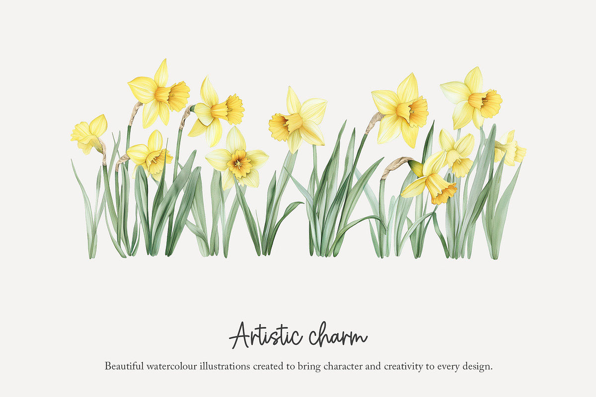 100 watercolour daffodil clip art, a Seasonal Illustration by Poppy Lane Studio (Photo 4 of 12)