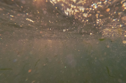 Underwater surface sea texture sunlight ocean, a Nature Photo by Photo Drive Studio