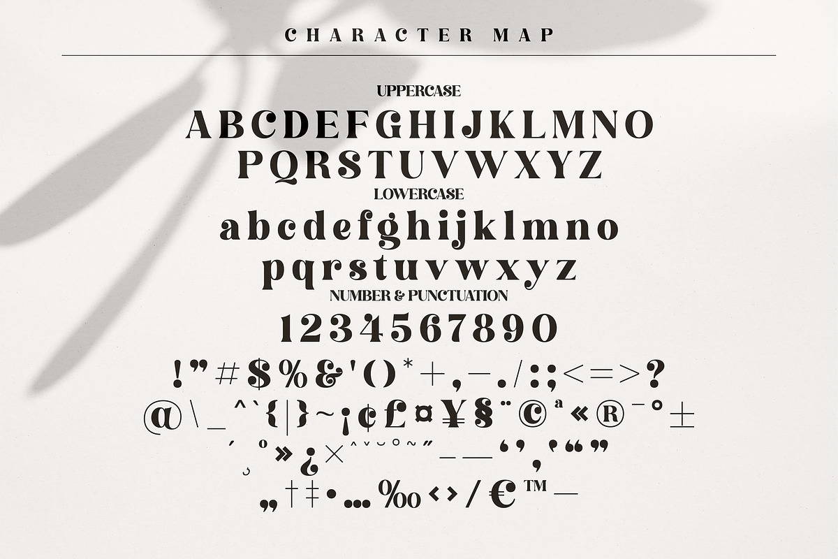 Hochagi Classy Serif Font, a Script Font by Storytype Studio (Photo 7 of 9)