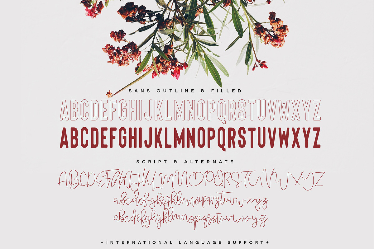Premium Font Bundle preview 5