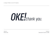 OKE! Sans Family ( Variable Fonts ), a Sans Serif Font by Paperwitch (Thumbnail 15 of 15)