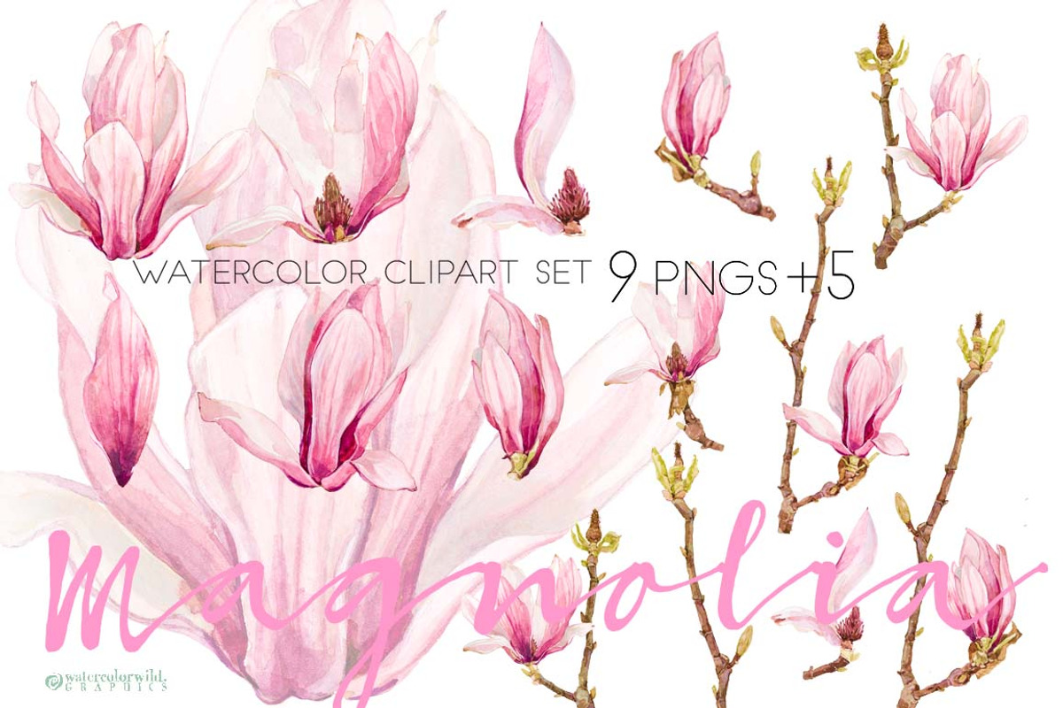 Magnolia-Clipart Set Watercolor, an Illustration by watercolorwild.graphics (Photo 4 of 9)